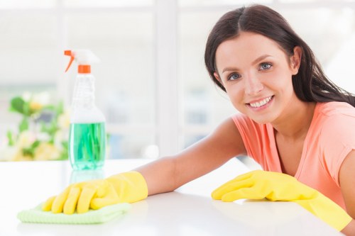 Professional carpet cleaning service in West Ealing