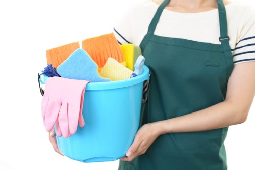 Professional carpet cleaning services in Millwall