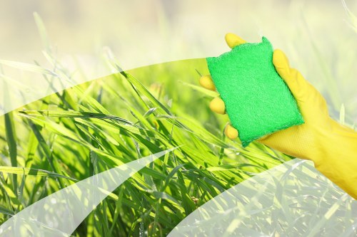 Professional carpet cleaning service in Southfields
