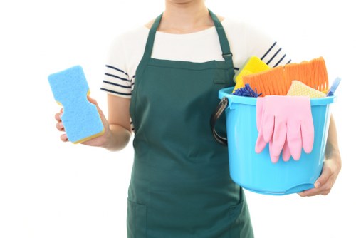Professional carpet cleaning services in Penge