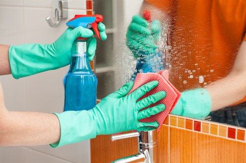 Professional carpet cleaner using steam cleaning equipment