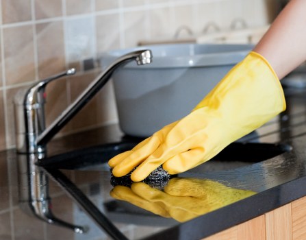 Professional carpet cleaner working in Isle of Dogs