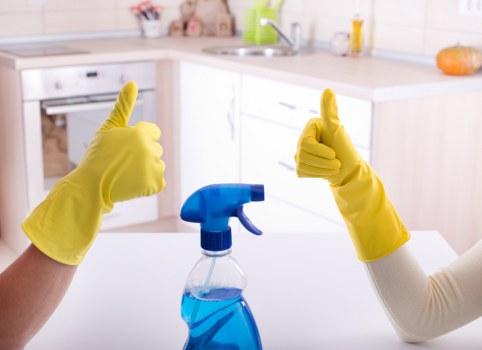 Professional carpet cleaning service in Elmstead