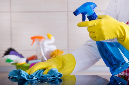 Professional carpet cleaner using steam cleaning method