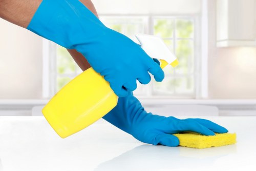 Eco-friendly carpet cleaning solutions