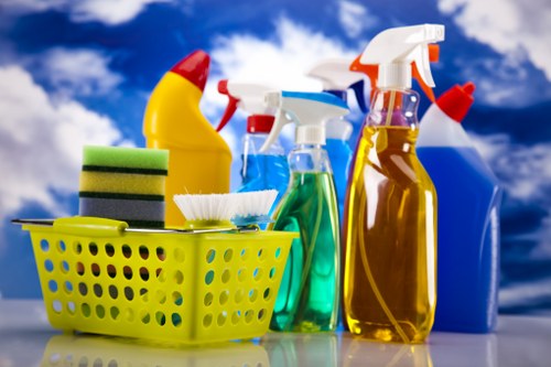 Professional carpet cleaner working in a Sudbury home