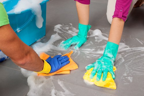 Eco-friendly carpet cleaning solutions