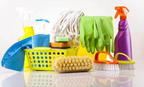 Professional carpet cleaning service in Shadwell
