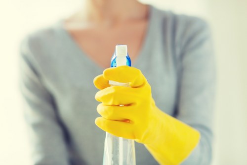 Eco-friendly carpet cleaning solutions