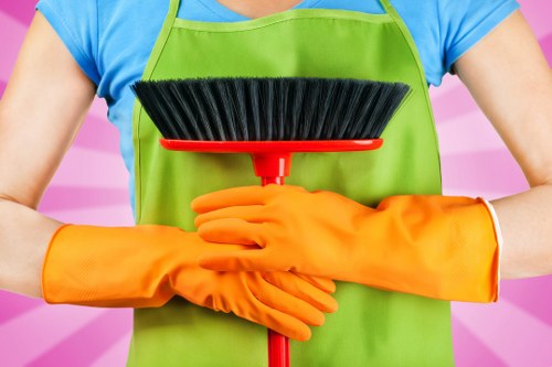 Eco-friendly carpet cleaning solutions being applied