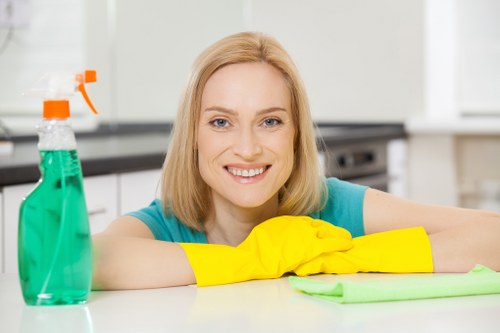 Carpet cleaner treating stubborn stains