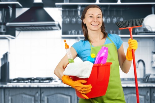 Advanced carpet cleaning equipment