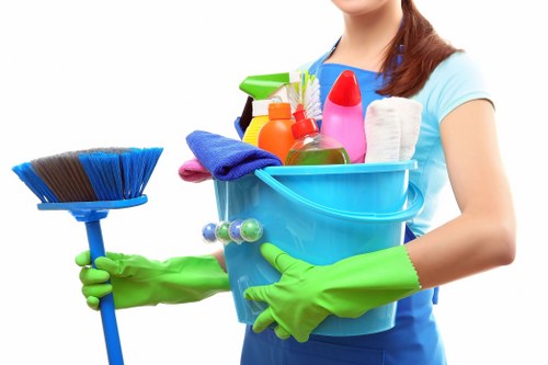 Eco-friendly carpet cleaning solution application
