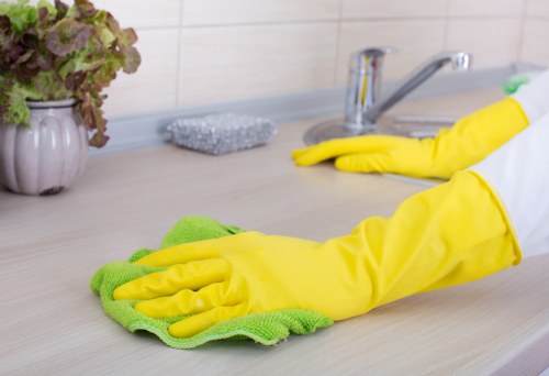 Eco-friendly carpet cleaning solutions