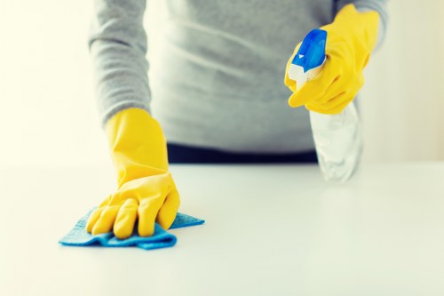 Eco-friendly carpet cleaning solutions