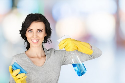 Advanced carpet cleaning techniques in Whitton
