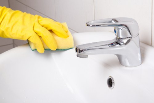 Professional carpet cleaning in Hatch End