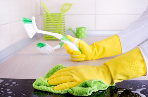 Clean carpets after professional cleaning service