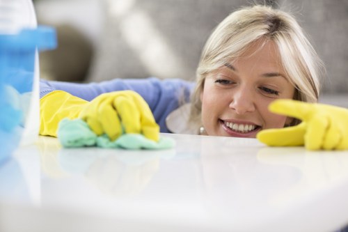 Professional carpet cleaning equipment and techniques