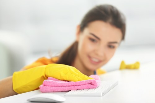 Eco-friendly carpet cleaning solutions