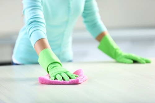 Step-by-step carpet cleaning process