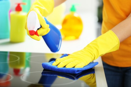 Expert carpet cleaners working in Hoxton