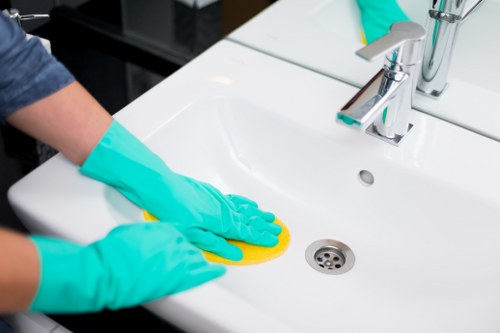 Eco-friendly carpet cleaning solutions
