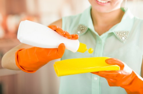 Eco-friendly carpet cleaning solutions