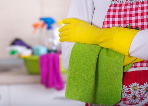 Advanced carpet cleaning equipment used by experts