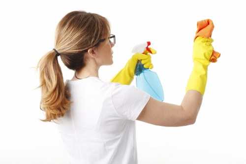 Technician using advanced steam cleaning equipment
