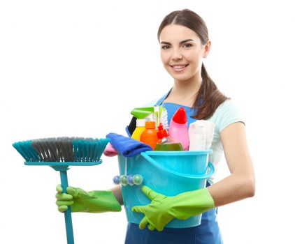 Eco-friendly carpet cleaning solutions in action