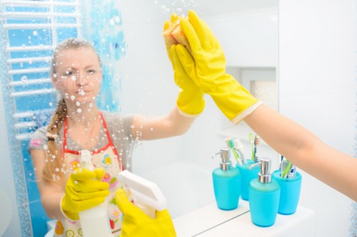 Deep carpet cleaning process by experts