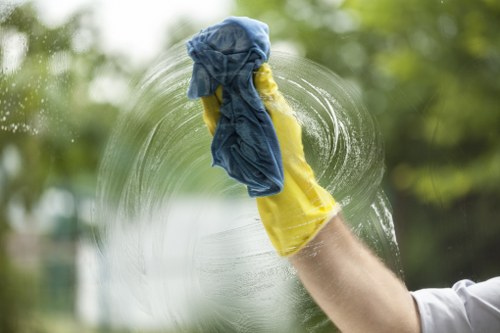 Choosing the right carpet cleaner in Whitechapel