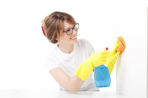 Deep cleaning techniques for carpets