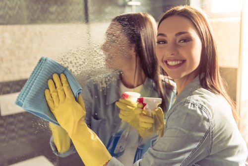 Eco-friendly carpet cleaning solutions in action
