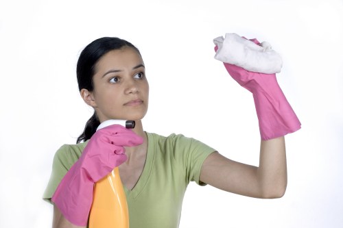 Advanced steam cleaning equipment for carpets