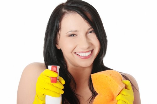 Deep cleaning carpets with advanced equipment