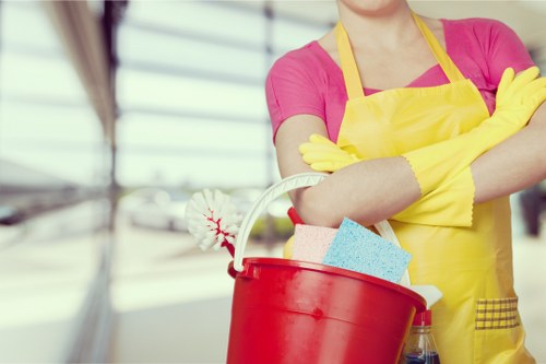 Eco-friendly carpet cleaning process