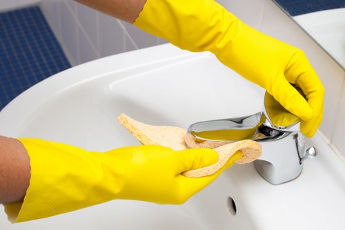 Eco-friendly carpet cleaning solutions