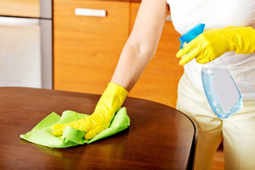 Eco-friendly carpet cleaning products in use