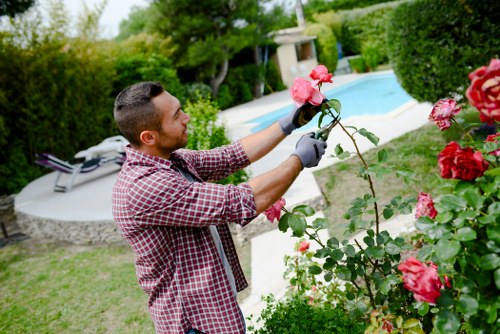 Eco-friendly carpet cleaning solutions