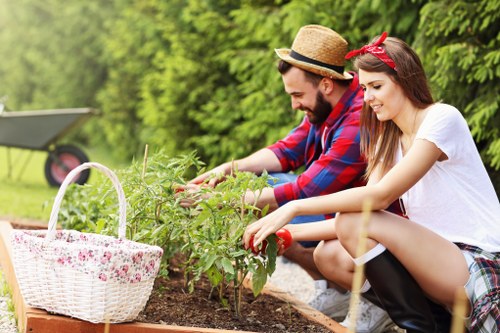 Eco-friendly carpet cleaning solutions in use