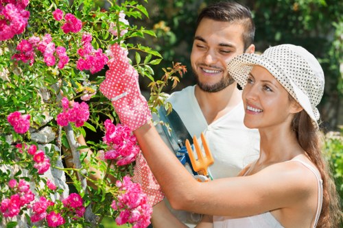 Eco-friendly carpet cleaning solutions