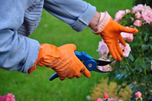 Eco-friendly carpet cleaning products