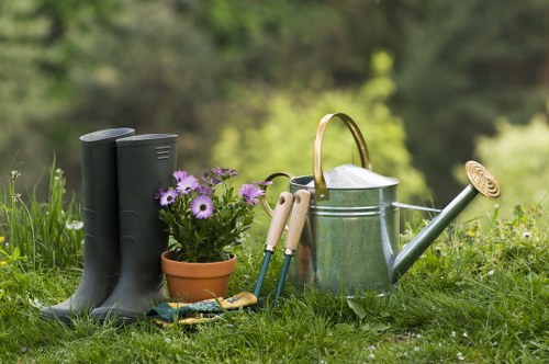 Eco-friendly cleaning solutions for facades and carpets