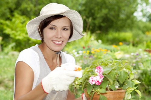 Eco-friendly cleaning solutions