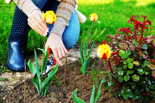 Deep cleaning services for carpets