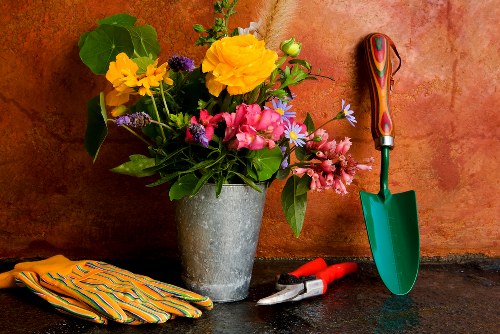 Choosing the right carpet cleaner for your home