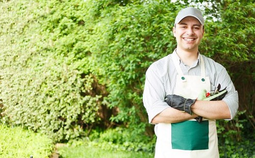 Eco-friendly disposal methods during clearance