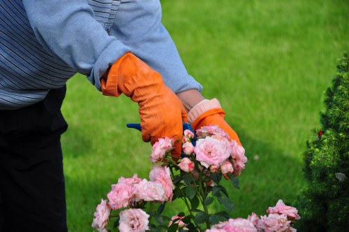 Advanced tools used in facade and carpet cleaning